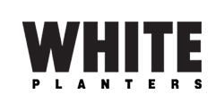 White Planters